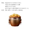 朱炳仁铜 年富一年聚宝盆风水缸套装招财开业乔迁礼物玄学小摆件 商品缩略图3