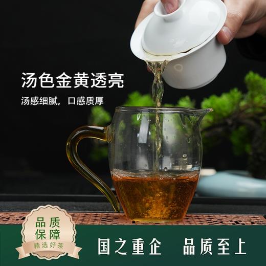 【云韵】荼茗云叶·普洱茶生茶·紧压茶357g*1饼 商品图3