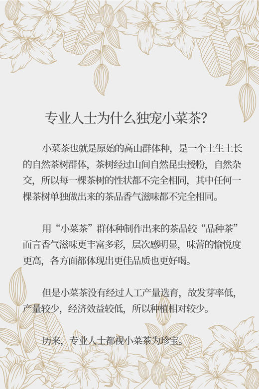 金骏眉 桐木关小菜茶 “桐木本山金” 5克*10泡装 商品图9