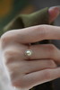 金珠keshi戒指「太阳神」 商品缩略图0