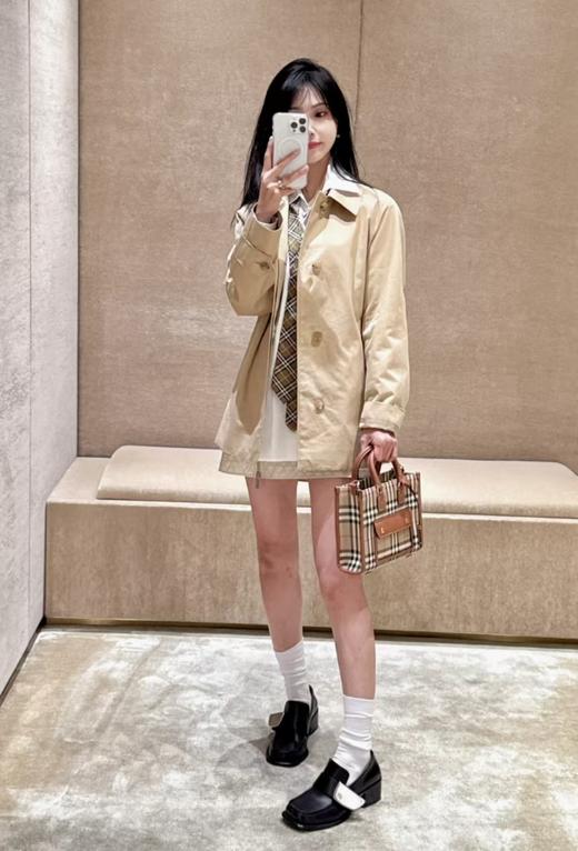 巴家 新迷你棕色格纹 芙蕾雅托特包（UB*CB） 商品图2