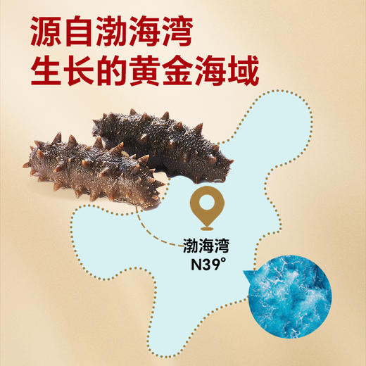 船歌鲜食即食海参礼盒 商品图3