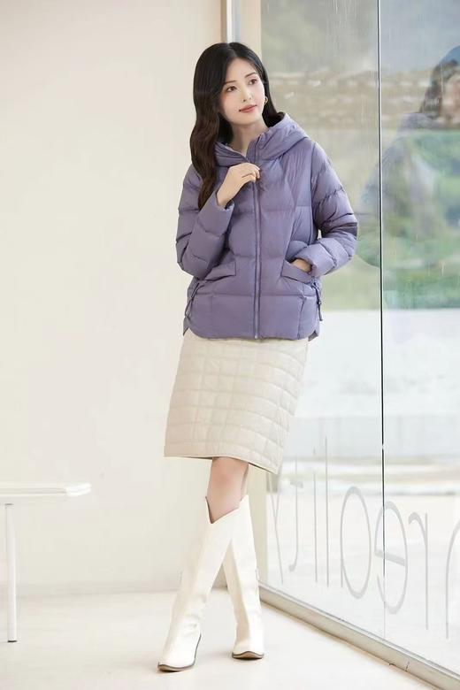 黛莉公主 3325 商品图0