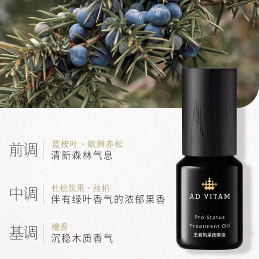 王者风采按摩油 商品图1