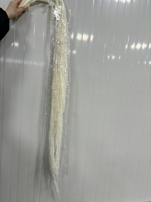 永生吊米 商品图3