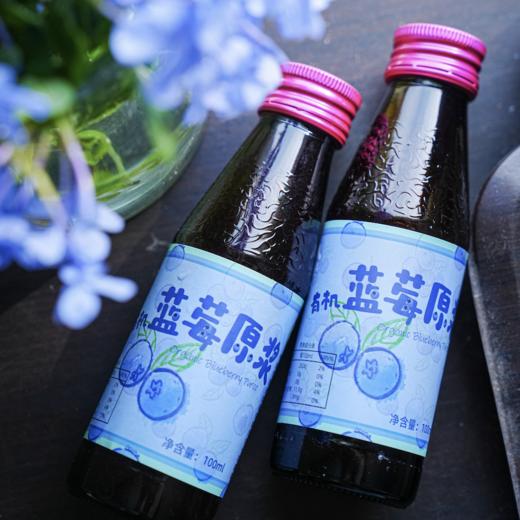 有机蓝莓原浆 |  Organic Blueberry Puree 商品图0