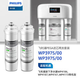Philips/飞利浦净水滤芯【WP3975+WP3975】两支