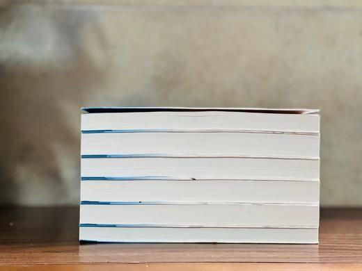 《山本周五郎文集》（全六册），作者: [日]山本周五郎 ，译者:魏大海等，啊32开，1912页，上海文艺出版社2020-8-15一版一印。定价248，售价74元 商品图2