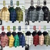 北面/TheNorthFace1996款羽绒服 男女同款 多色可选（UY*MT） 商品缩略图1