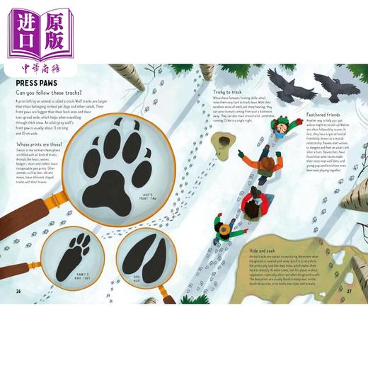 【中商原版】狼害怕黑暗吗 Are Wolves Afraid of the Dark 英文原版 儿童科普 动物知识百科图画书 精装精品绘本 进口童书 商品图4