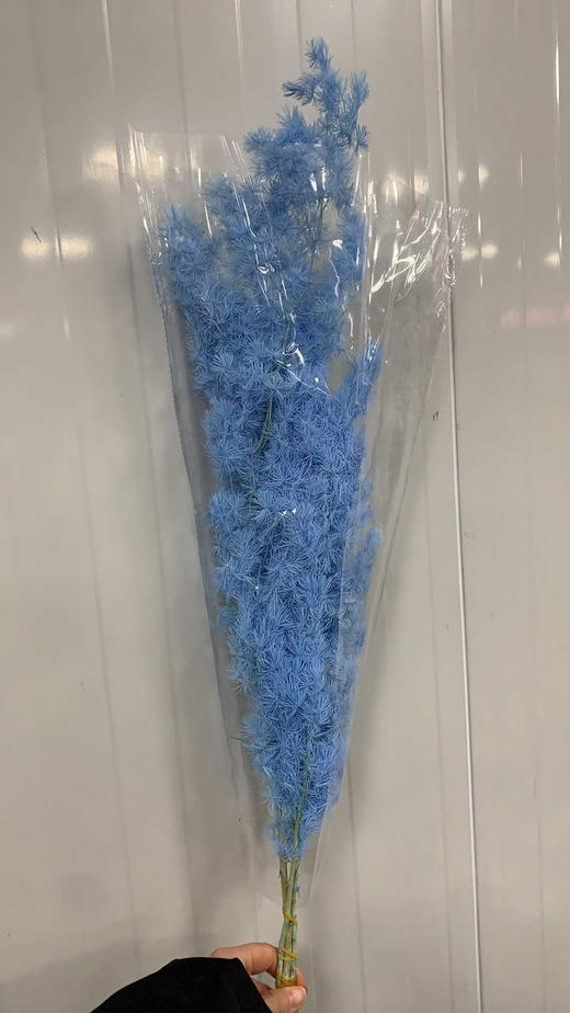 永生松 商品图3