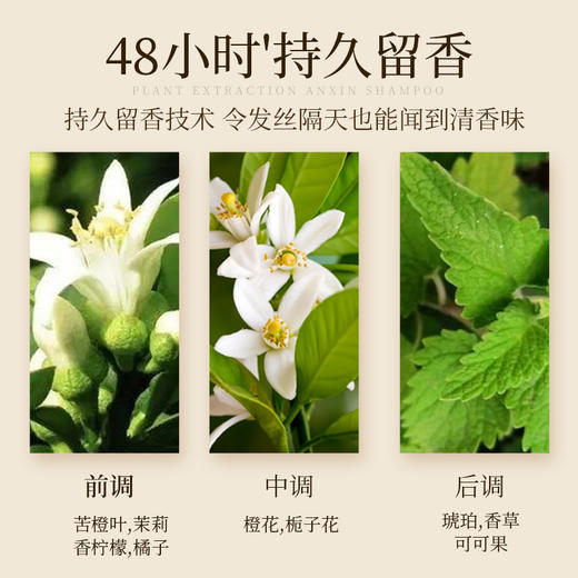 自营（菲小主）- 养发防断 强韧顺滑 经典养发洗发水500ml 商品图2