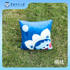 华师文创小师师抱枕