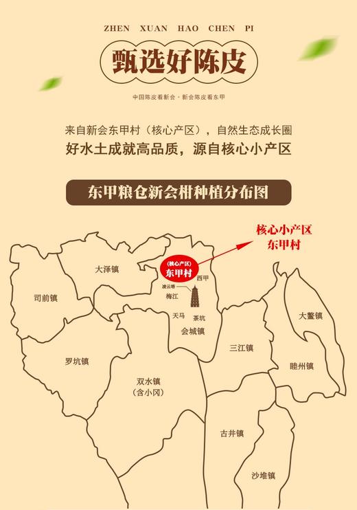 东甲粮仓 新会陈皮（10年陈）（领秀店） 商品图7