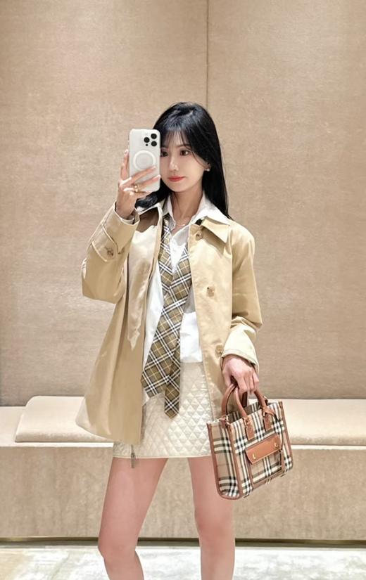 巴家 新迷你棕色格纹 芙蕾雅托特包（UB*CB） 商品图1