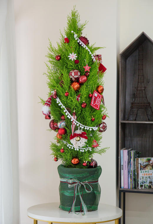 氛围感香松1.5M 商品图0