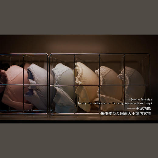 留存道内衣护理机-可定制皮革颜色 商品图4