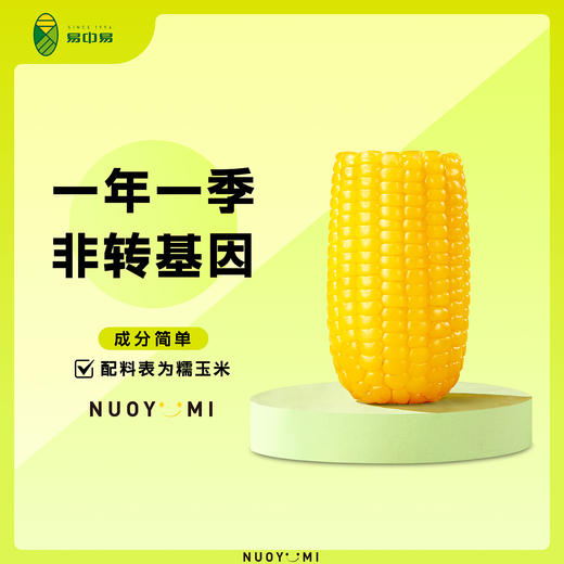 【易中易黄金8cm有机黄糯玉米段量贩装】 非转基因低脂杂粮儿童早餐家庭装 商品图1