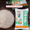 【定丰农场】稻花香2号沙漠大米 10kg/袋 商品缩略图1