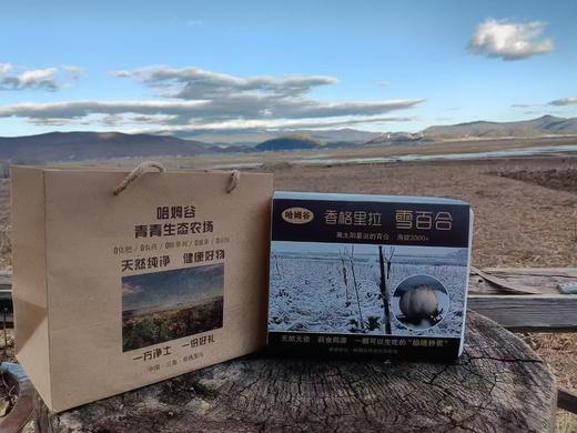 离太阳最近的 鲜雪百合 500g以上，多规格 【基地直发】产地：云南香格里拉 商品图5