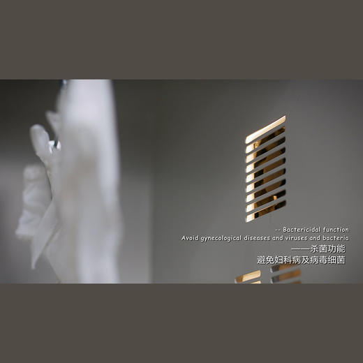 留存道内衣护理机-可定制皮革颜色 商品图3