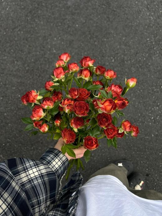 国产多头玫瑰巧克力泡泡10支 商品图4