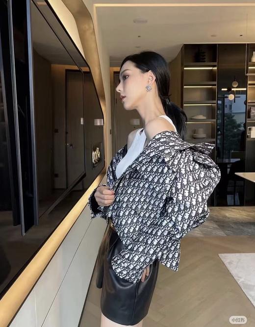 DIOR经典老花冲锋衣 商品图3