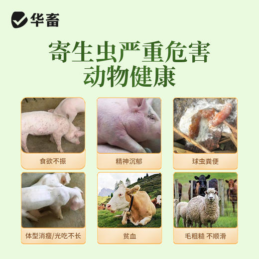 华畜兽用驱虫打虫猪牛羊鸡鸭鹅液体驱虫体内外同驱健胃增食克虫净 商品图2