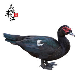 【每日鲜】老番鸭 约7斤 仅发广东省内（京东）