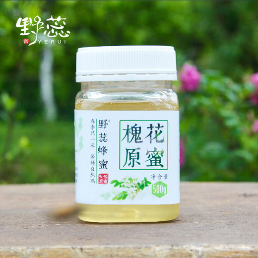 通江县野蕊槐花蜂蜜 商品图4