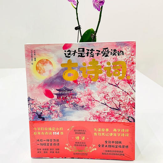 这才是孩子爱读的古诗词全3册（套装书） 商品图4
