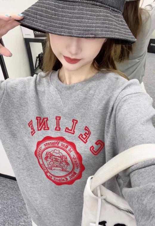 C家 凯旋门植绒印花卫衣（DY） 商品图2