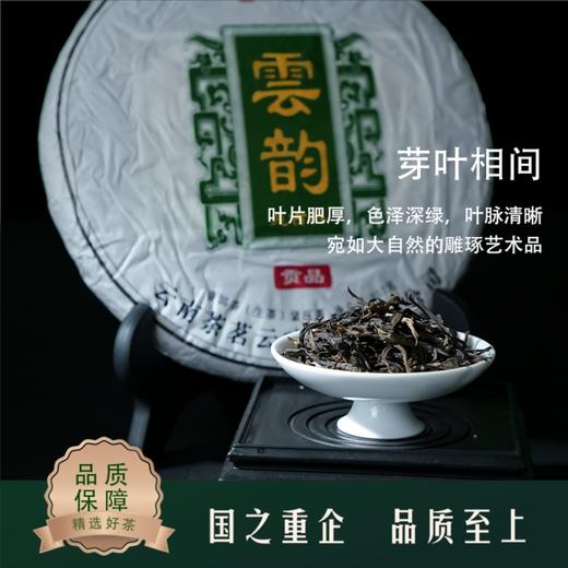 【云韵】荼茗云叶·普洱茶生茶·紧压茶357g*1饼 商品图1