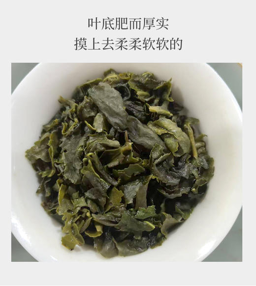 祥华高山铁观音 50克 真空素颜简装 商品图2
