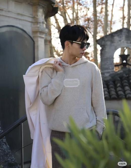 D家 刺绣标针织帽衫（DY） 商品图7