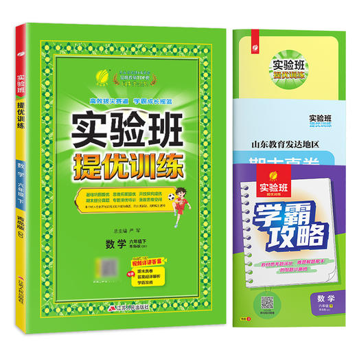2025年春【青岛版】小学数学 六年级下 实验班提优训练 商品图4