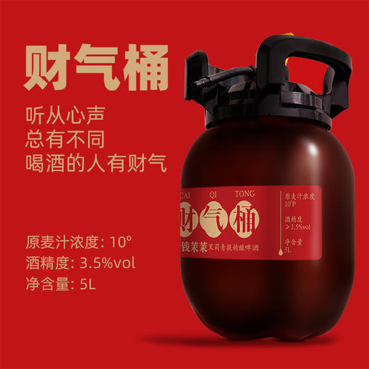 精酿啤酒 | 足足发酵30天，酒体饱满，一口绵柔！ 商品图5