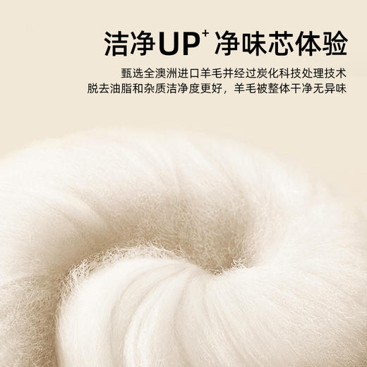 多喜爱美眠康暖意羊羊澳洲纯羊毛冬被【100%优质澳毛】【天然抑菌|透气吸湿|洁净防螨】 商品图4