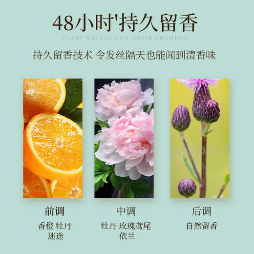 自营（菲小主）-控油蓬松净爽飘逸 经典清盈洗发水500ml 商品图2