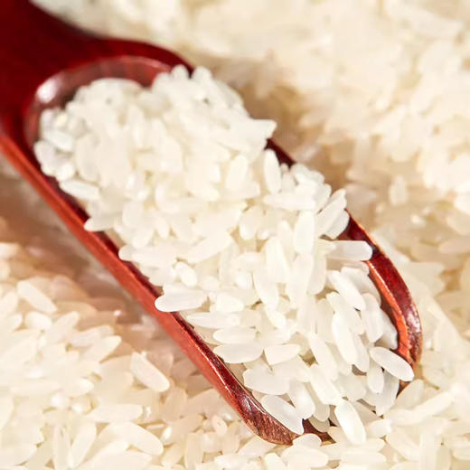 【定丰农场】稻花香2号沙漠大米 5kg/盒 商品图4