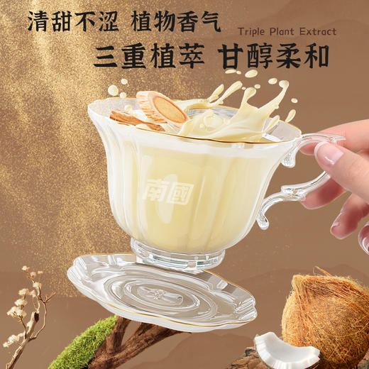 南国黄芪党参椰子粉 120g/袋（12包） 养生早餐代餐 商品图8