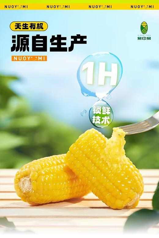【易中易黄金8cm有机黄糯玉米段量贩装】 非转基因低脂杂粮儿童早餐家庭装 商品图2