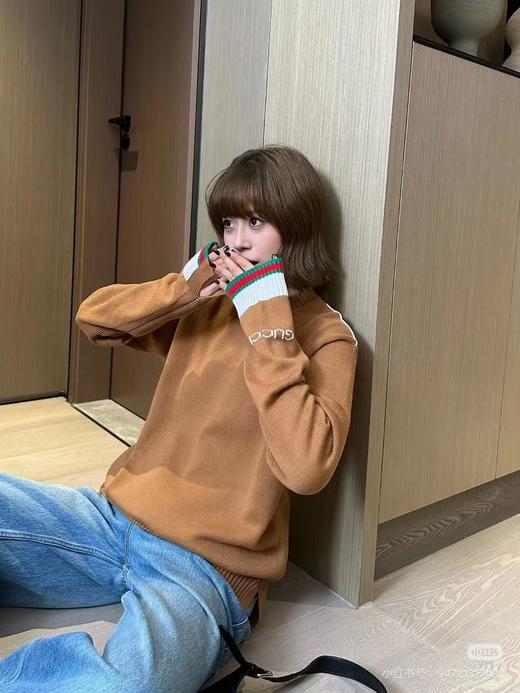 G家 GG嵌花咖色毛衣（DY） 商品图4