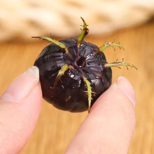 云南红果参 商品图4