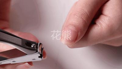 【双立人同款指甲剪】雕刻版三件套の高品质原单代工厂出品 滑动式收纳槽自动收纳甲屑防飞溅ソ防飞溅ソ可全身水洗令不生锈乃螳螂造型握感舒适锋利到剪铁如发@精美套盒磨砂不锈钢方盒包装 商品图2