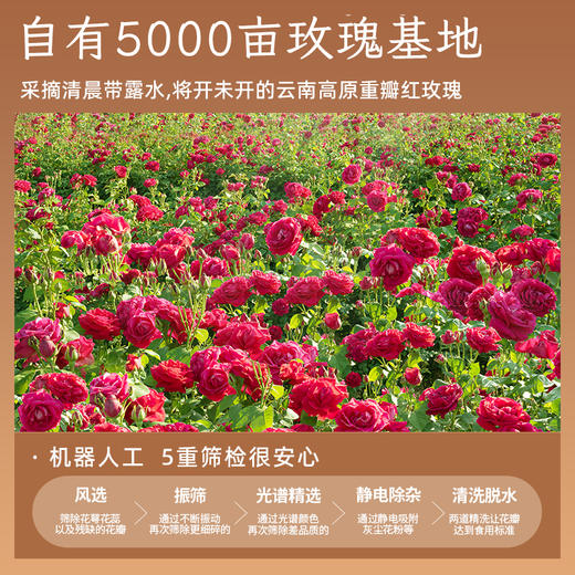 潘祥记云南特产玫瑰老姜黑糖 210g袋装老姜/玫瑰 单个独立小袋装 商品图4