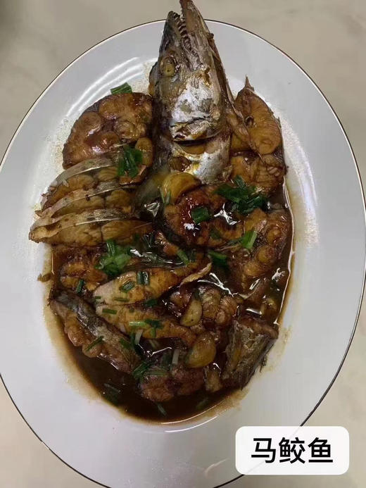 蓝颜马鲛鱼 商品图4