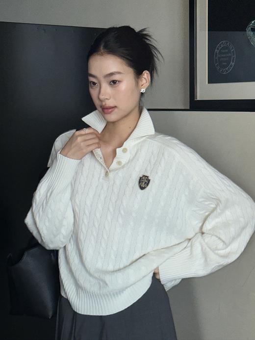 BC24AW秋冬新款老钱金丝徽章绞花羊绒廓形Polo毛衣（UY*DQJB） 商品图8