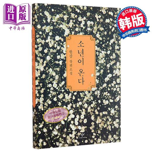【中商原版】少年来了 韩国文坛畅销女作家韩江代表作 诺贝尔文学奖 韩文原版 韩版 韩语版 商品图2