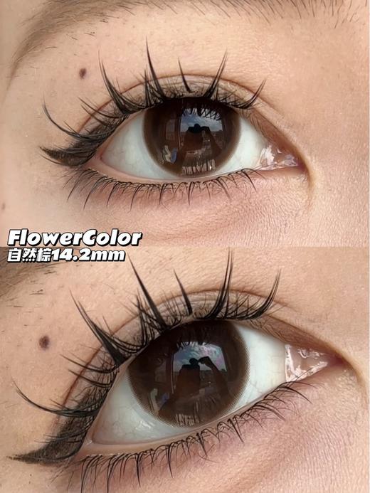 【年抛美瞳】自然棕 flowercolor | 中直径14.2 着色13.2 | 【同品牌多幅更划算可以咨询客服，或在本商城搜索flowercolor全系列 ！】自然 三明治工艺 商品图10